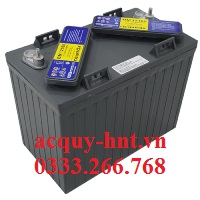 Ắc Quy Xe Điện NEWMAX BM 12165 (12V -165AH)