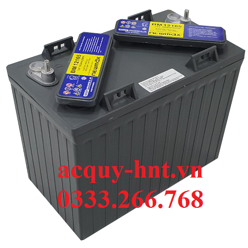 Ắc Quy Xe Điện NEWMAX BM 12165 (12V -165AH)