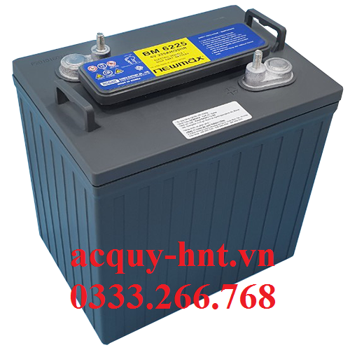 Ắc Quy Xe Điện NEWMAX BM 6225 (6V -225AH)