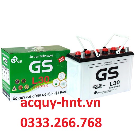 Ắc Quy Khởi Động GS L30 (12V-30AH)