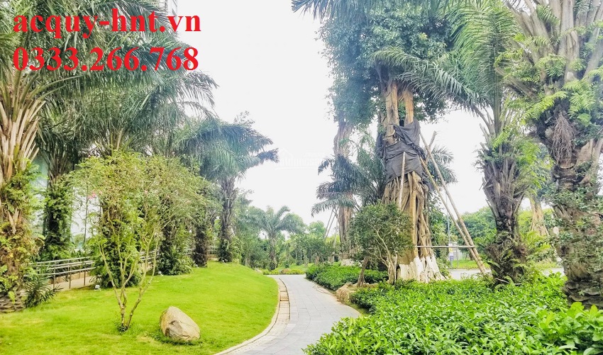 Cứu Hộ Ắc Quy Ô Tô, Câu Ắc Quy Ô Tô, Thay Ắc Quy Ô Tô Tại Nơi Tại Rừng Cọ Ecopark, Khu đô thị Ecopark, Xuân Quan, Hưng Yên